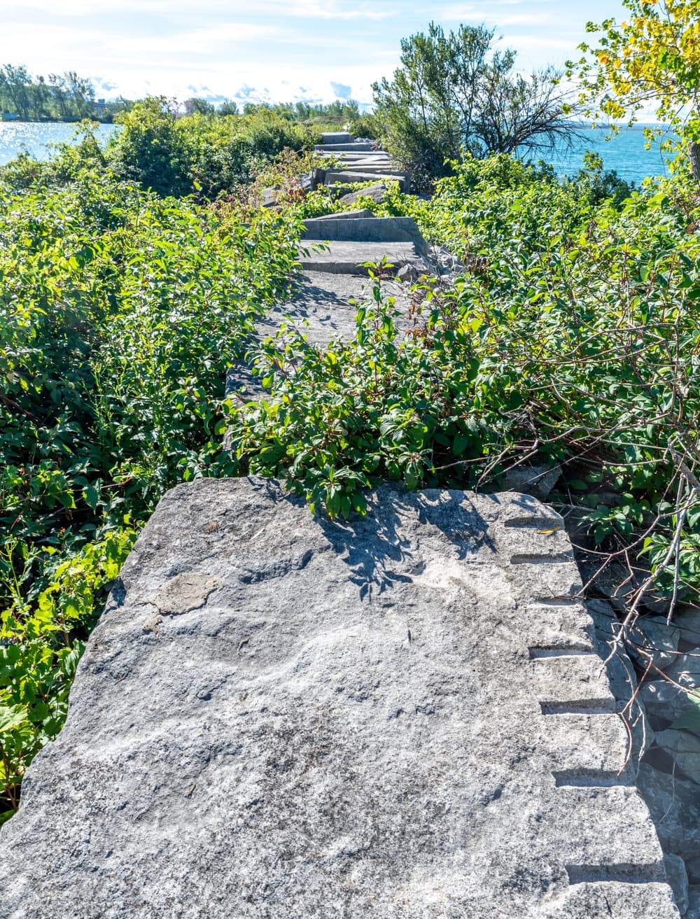 Displaced concrete armor blocks along the vegetated edge of the Times Beach confined disposal facility
